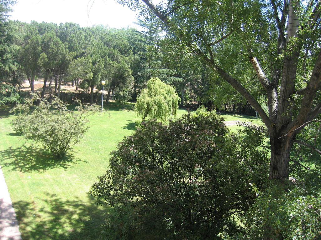 Hotel Escuela Madrid Bilik gambar